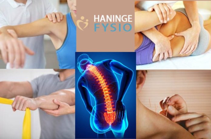 featured-1771482186601