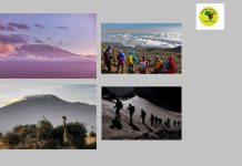 Explore Tanzania’s iconic crater with expert safari planning