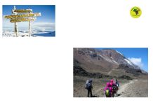 Ultimate Tanzania Safari Blend: Kilimanjaro Adventure & Wildlife!