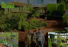 Expert Roof Gardening Services Australia | Innovative Rooftop Garden Designs