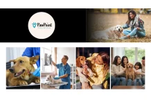 Compassionate Vets To Go Euthanasia Services for At-Home Pet Care