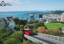 Consultores de estudios en el extranjero en México: Asesoría experta para tu futuro internacional