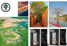 Que faire au Sénégal : guide complet des activités et découvertes authentiques