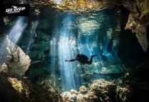 Ultimate Guide to Cenote Diving: Top Spots and Expert Tips for an Unforgettable Experience