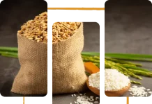Top Rice Export Company to Nigeria for Premium Quality and Reliable Supply