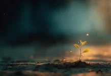 Profesjonalne usługi leczenia uzależnień od narkotyków w Polsce – skuteczna pomoc i wsparcie