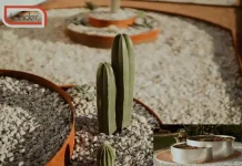 Top Quality Corten Steel Planters for Durable and Stylish Garden Decor