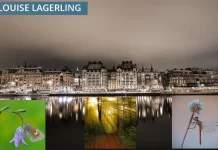 Erfaren psykolog i Stockholm för starkare och hälsosammare relationer