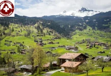 Zurich to Mount Titlis Day Tour – Scenic Swiss Alps Adventure with Nate-Tours.com