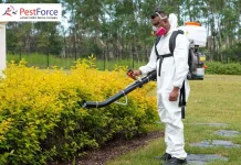 Effective Pest Control Calgary Services for a Pest-Free Home and Business