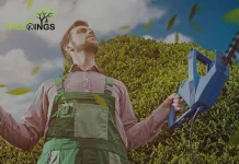 Expert Tree Removal Craigieburn Services for Safe and Affordable Tree Care