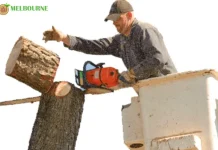 Tree and Stump Removal Experts for Safe and Efficient Outdoor Care