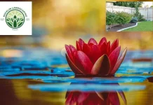 Expert Landscapers Rocklin | Transform Your Outdoor Space with RocklinLandscapingPros.com