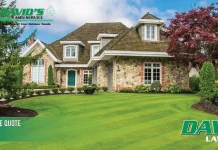 Expert Mulch Planting Services in Minnetonka MN for a Beautiful Yard