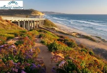 Experienced Therapist San Marcos CA Offering Personalized Mental Health Support and Therapy