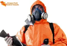 Effective Ant Control Edmonton Services by Licensed Professionals for Eco-Friendly Pest Removal