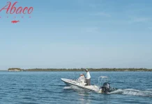 Discover the Best Bonefish Lodges in Bahamas for Ultimate Fishing and Luxury Stays