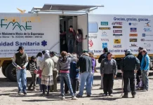 Best Dove Shooting Lodges in Argentina for Luxury Hunting Experiences