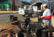 Expert Tree Disease Treatment Services for Healthy and Thriving Trees