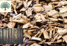 Professional Tree Trimming Placerville CA Services for Healthy and Beautiful Trees