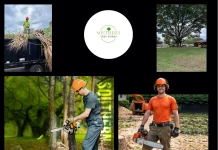 Emergency Tree Removal in Dothan AL – 24/7 Fast and Safe Tree Services