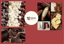 Top Bulk Cocoa Powder Supplier for High-Quality Chocolate and Baking Ingredients