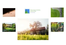 Meet the Team at ThickGreenHealthy.com: Experts in Lawn Care and Healthy Growth