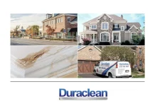 Expert Carpet Cleaning Rockford Services for Healthier, Fresher Carpets