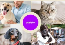 Find Love with Online Dating for Animal Lovers – Connect with Fellow Pet Enthusiasts Today