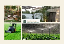 Top Professional Lawn Maintenance Services for Lush and Healthy Outdoor Spaces