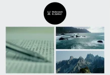 Effektiva strategier för transfer pricing och internationell beskattning 2024