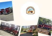 Best Paving Companies in Palm Beach County for Driveway and Road Solutions