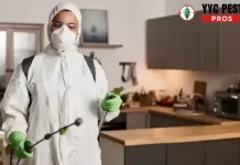 Effective Pigeon Droppings Removal Services for Safe and Hygienic Spaces