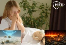 Effektive Bettmilben Sauger für ein allergiefreies und sauberes Schlafzimmer