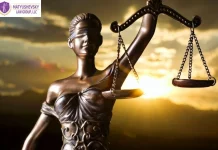 Top Immigration Lawyer South Carolina for Expert Legal Guidance and Support