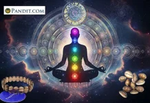 Discover the Benefits and Authenticity of the Most Common Rudraksha Beads in India