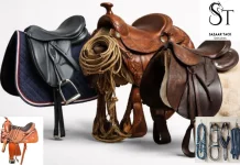 Buy Horse Equipment Online for Quality, Comfort, and Eco-Friendly Riding Gear