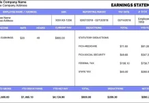Effortless Paystub Creator with Integrated Calculator for Accurate Payroll Documents