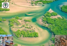 Offres voyage Sénégal : découvrez des séjours authentiques et économiques