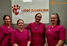Veterinär hembesök i Skurup – professionell och trygg vård för ditt djur hemma