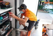 Effective Pest Control Nerang Services for Safe and Fast Pest Elimination