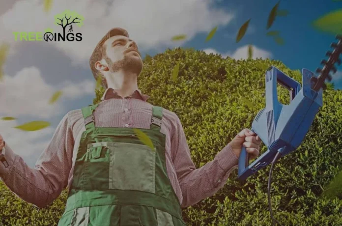 treekings-1778846718145-c05e0d32
