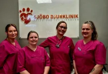Professionell Hund Tandvård i Veberöd för Friska Tänder och Ett Strålande Leende
