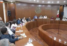 Últimas noticias de hoy en San Luis Potosí – Actualizaciones y alertas en tiempo real