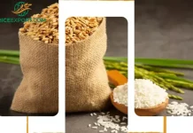 Top IR64 Rice Supplier Nigeria for Quality Bulk Export and Reliable Service