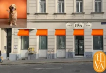 Premium Hundesalon Wien – Exklusive Pflege und Styling für Ihren Hund