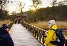 Makrofoto: Tips och tekniker för att fånga världens minsta detaljer