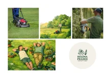 Effective Winter Property Maintenance Regina Services for Safe and Clean Homes