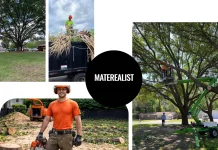 Expert Tree Care Contractor in USA for Professional Tree Management and Services