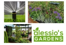 Best Plants for Around Pools to Enhance Your Outdoor Space